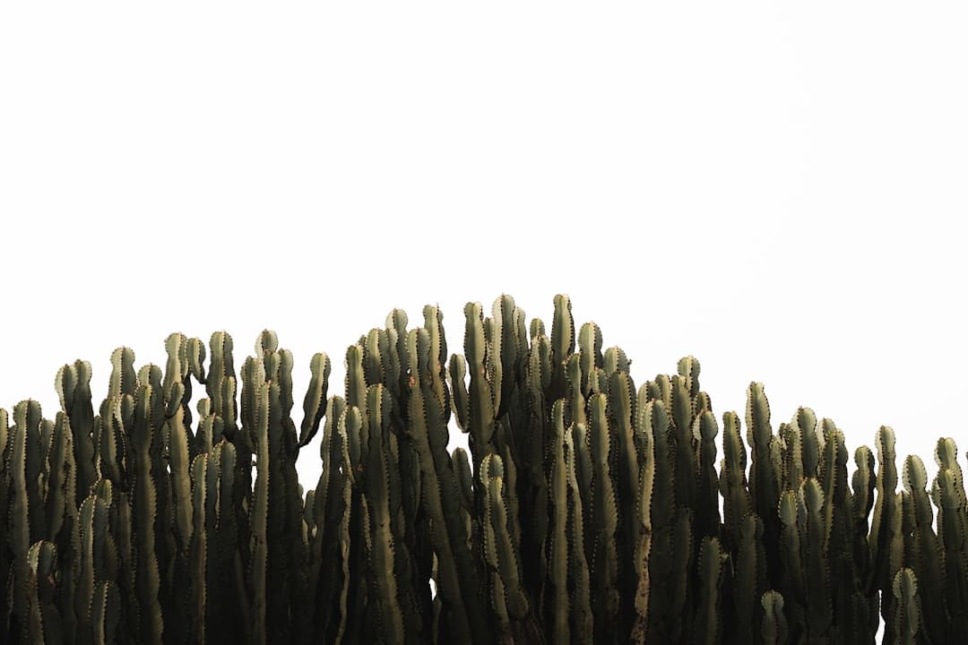 暑期“旅行专列”，让远方有景更有诗意